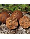 Топчета Dynamite Baits - CompleX-T Boilies - Dynamite Baits - Протеинови топчета - 2