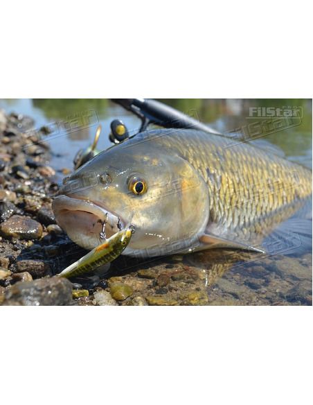 Воблер Salmo - Minnow 60 S - Salmo - Воблери - 3 Воблер Salmo - Minnow 60 S - Salmo - Воблери - 3